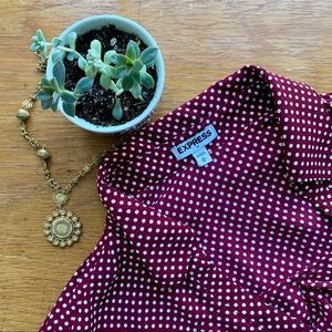 Express Long Sleeved Button Down